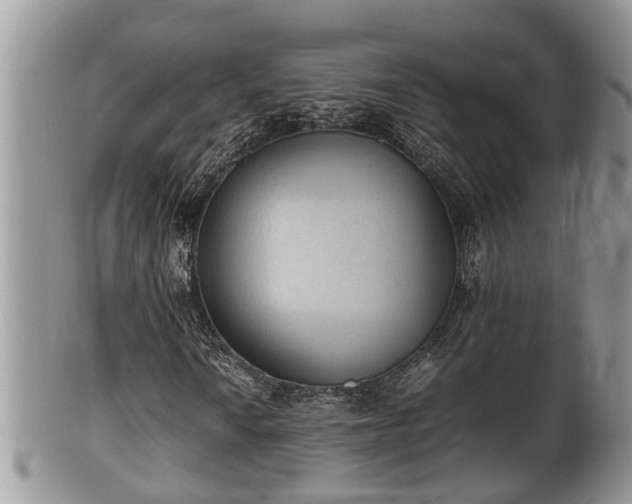 X0000102301010200808011534