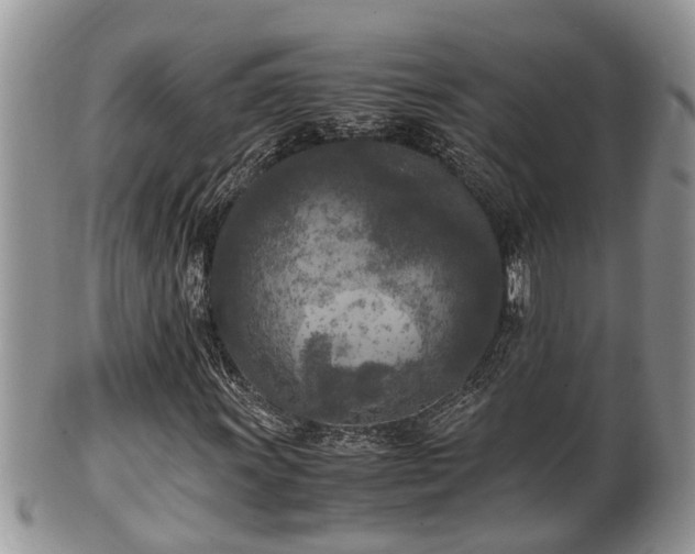 X0000102301011200808011534