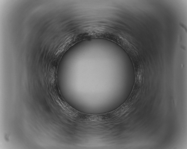 X0000102301012200808011534