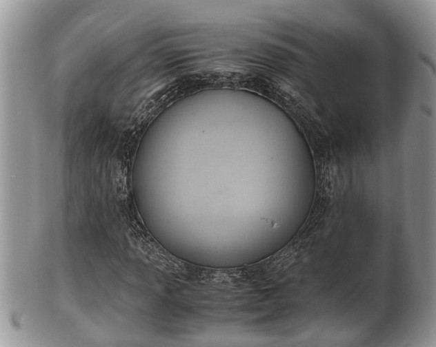 X0000102301013200808011534