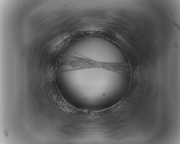 X0000102301014200808011534