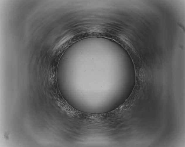 X0000102301015200808011534