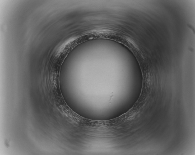 X0000102301016200808011534