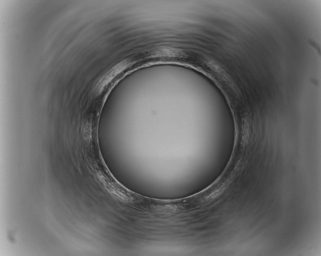 X0000102301017200808011534