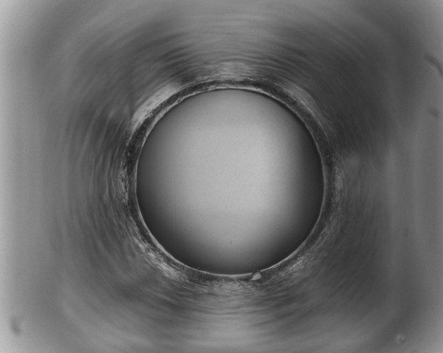 X0000102301018200808011534