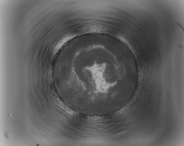 X0000102301019200808011534