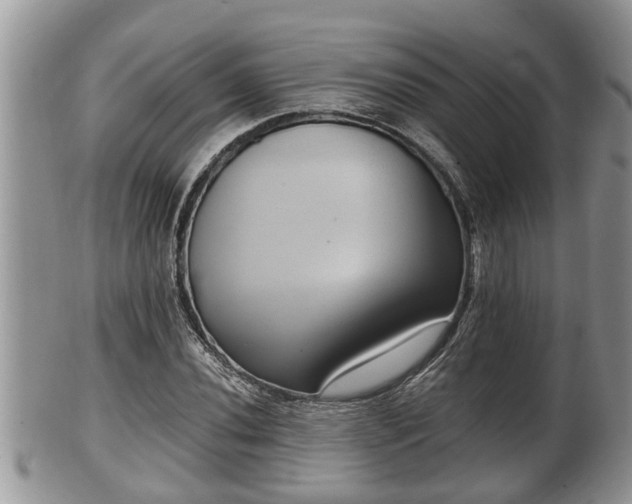 X0000102301020200808011534