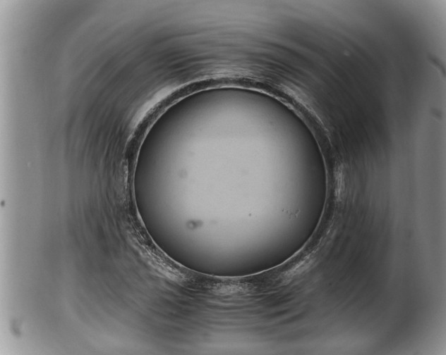 X0000102301021200808011535