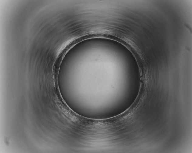 X0000102301022200808011535