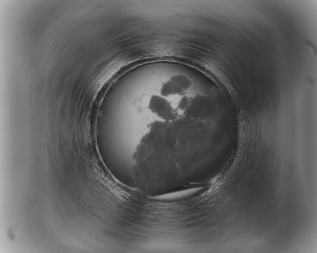 X0000102301023200808011535