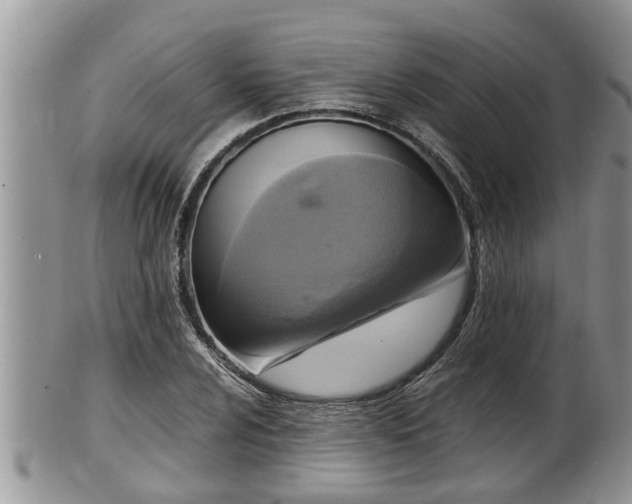 X0000102301024200808011535