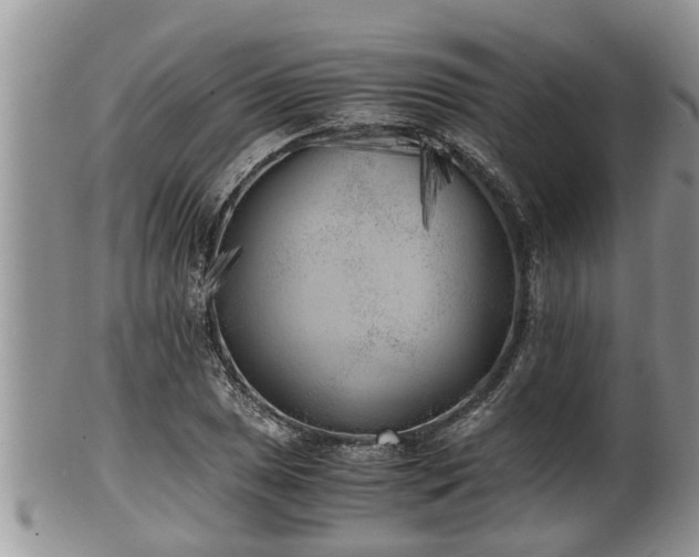 X0000102301025200808011535