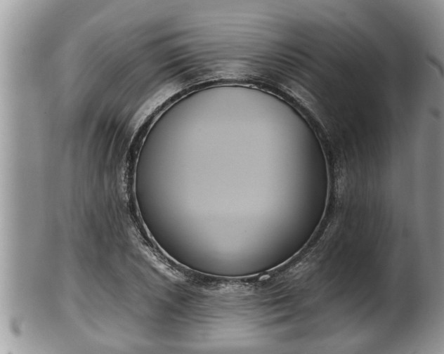 X0000102301026200808011535