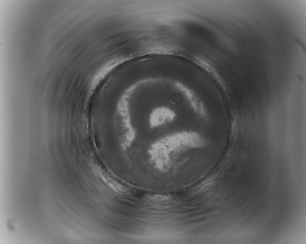 X0000102301027200808011535