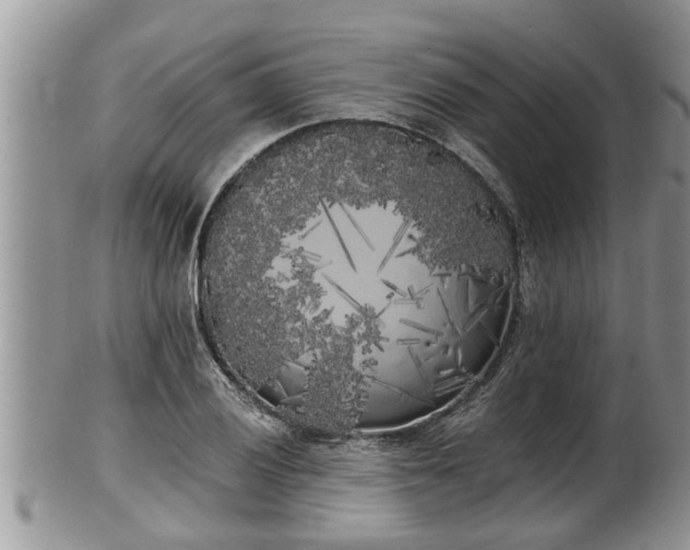 X0000102301028200808011535