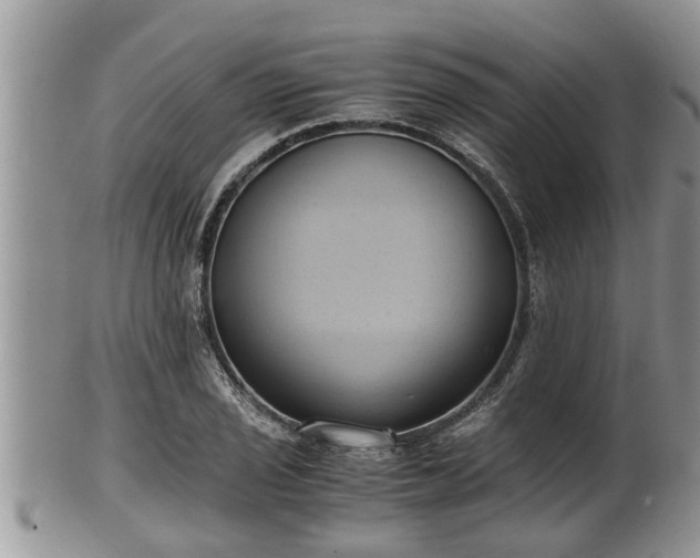 X0000102301029200808011535