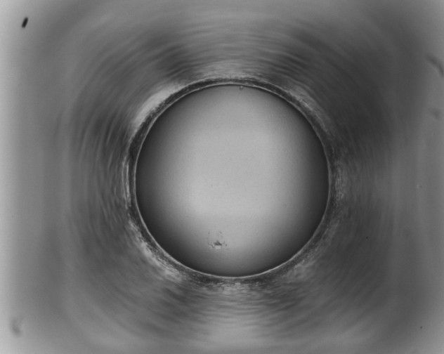 X0000102301030200808011535