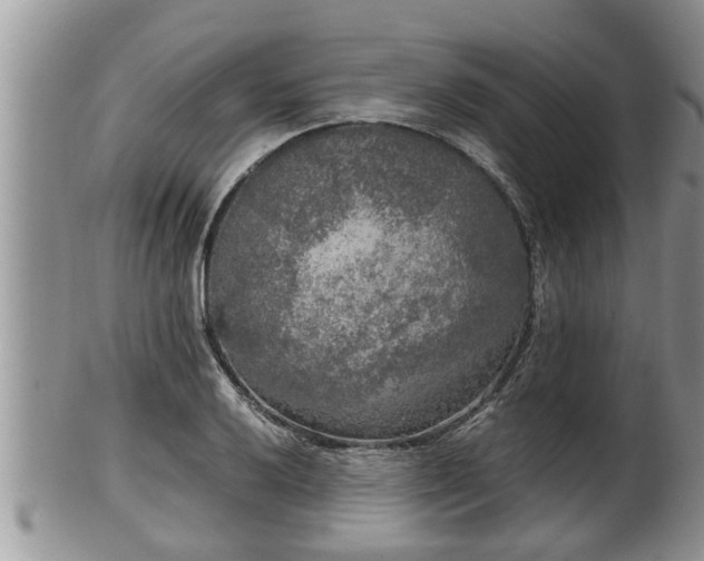 X0000102301032200808011535