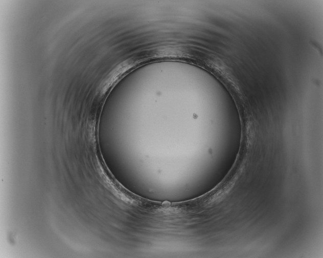 X0000102301033200808011535