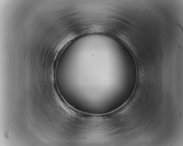 X0000102301034200808011535