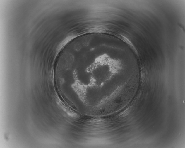 X0000102301035200808011535