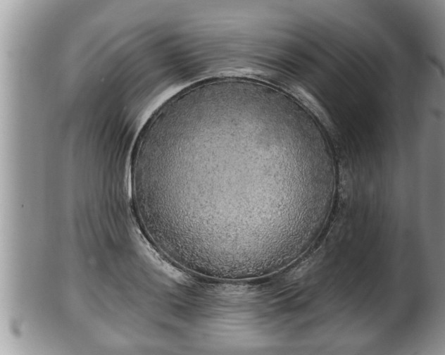 X0000102301036200808011535