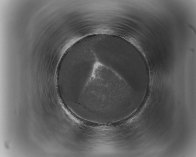 X0000102301037200808011535