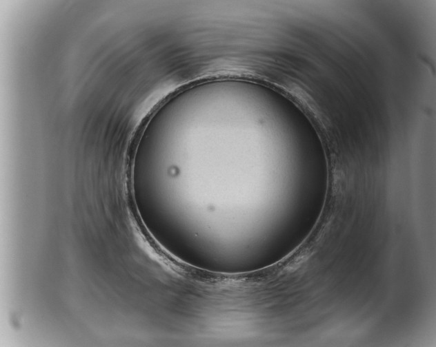 X0000102301038200808011535