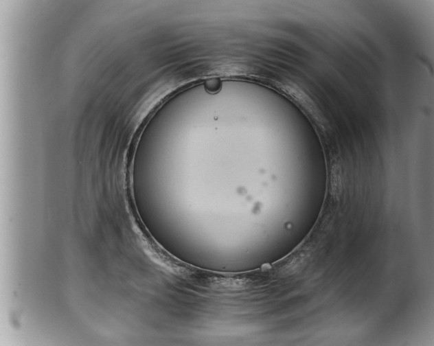 X0000102301039200808011535