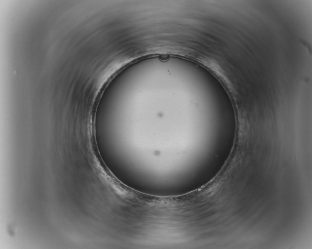 X0000102301040200808011535