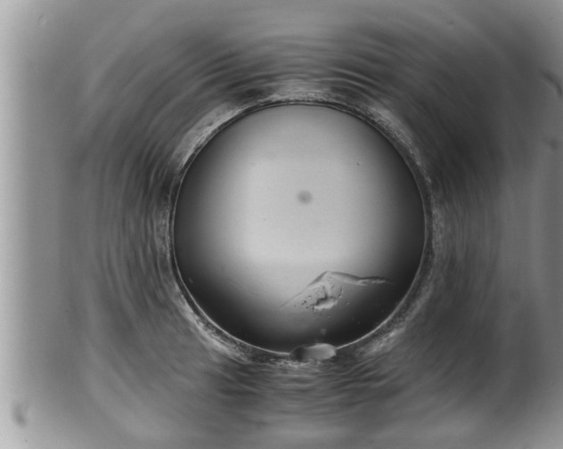 X0000102301041200808011535