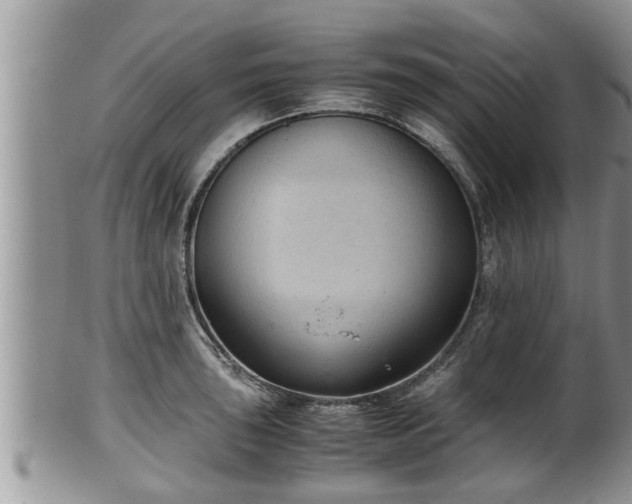 X0000102301043200808011535