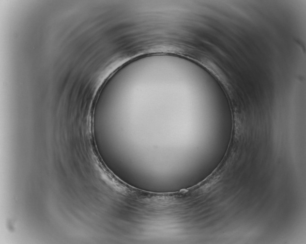 X0000102301044200808011535