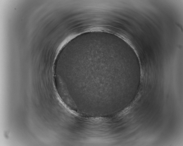 X0000102301045200808011535