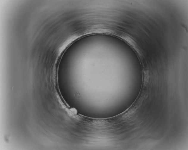 X0000102301046200808011535