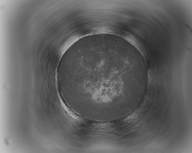 X0000102301047200808011535