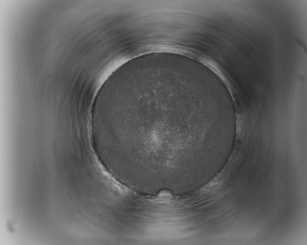 X0000102301048200808011535