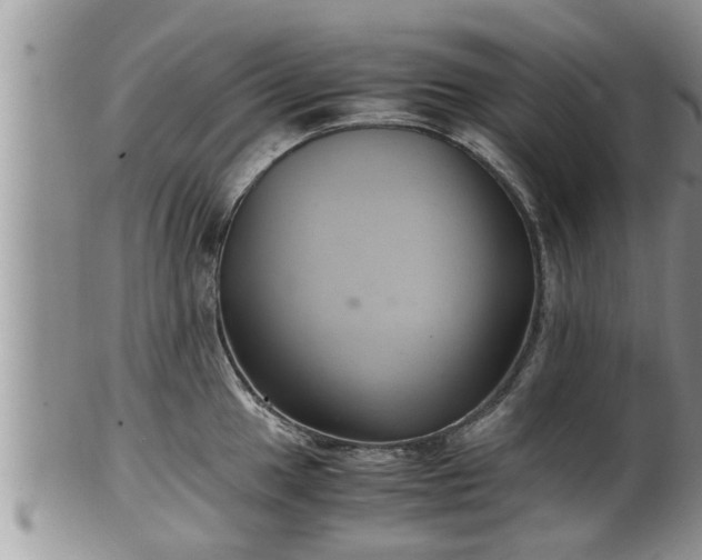 X0000102301049200808011535