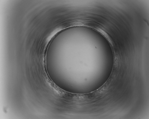 X0000102301051200808011535