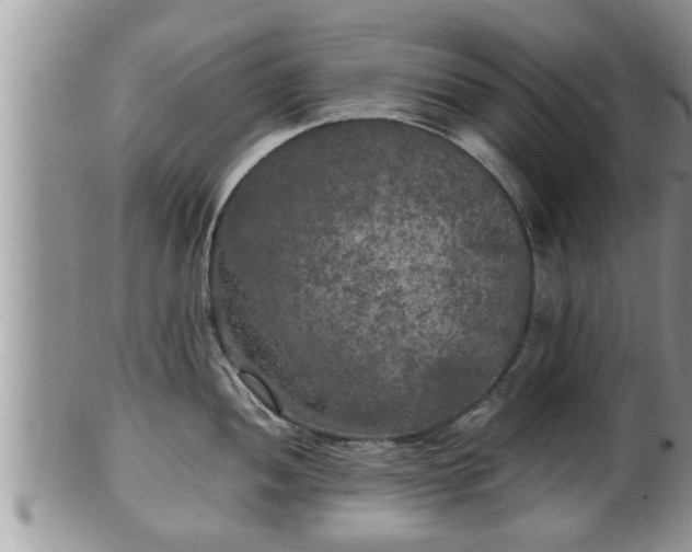 X0000102301052200808011535