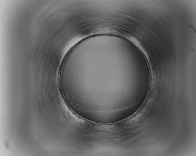 X0000102301053200808011535