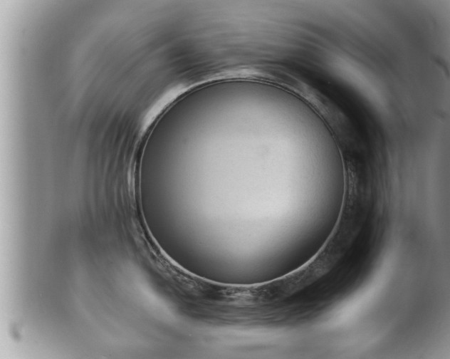 X0000102301054200808011535