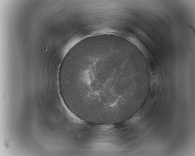 X0000102301055200808011535