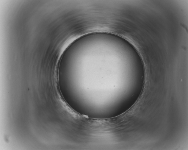 X0000102301056200808011535