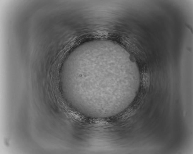 X0000102301057200808011534