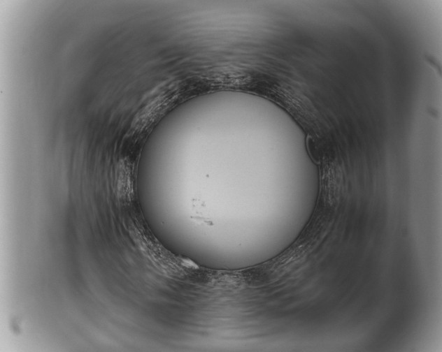 X0000102301058200808011534