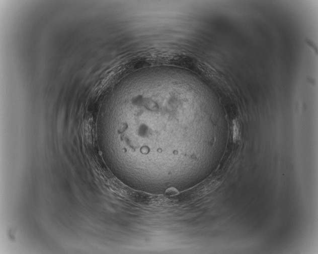 X0000102301059200808011534