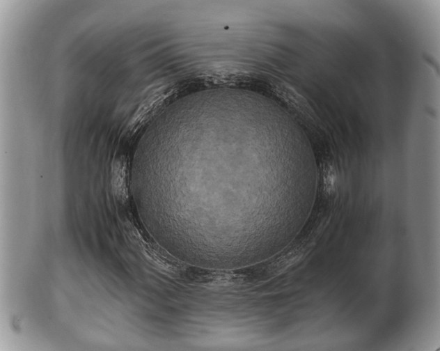 X0000102301060200808011534