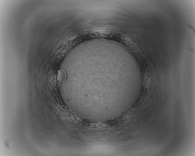 X0000102301061200808011534