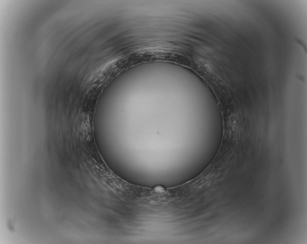 X0000102301062200808011534